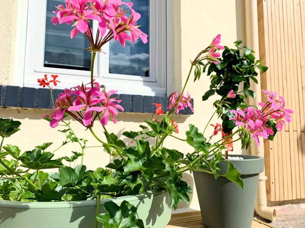 Apartment Eco-appart'hotel - Jdp
